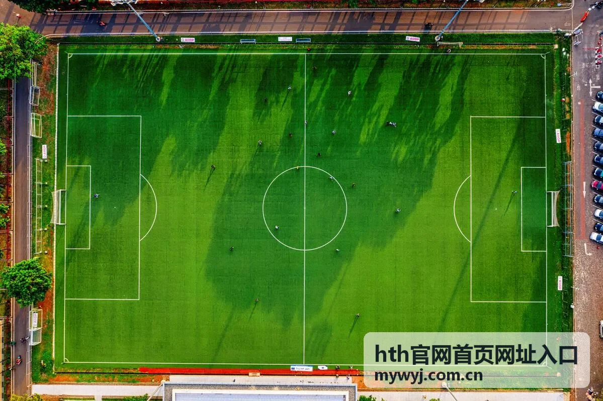 hth官网首页网址入口网址检索指南条目封面