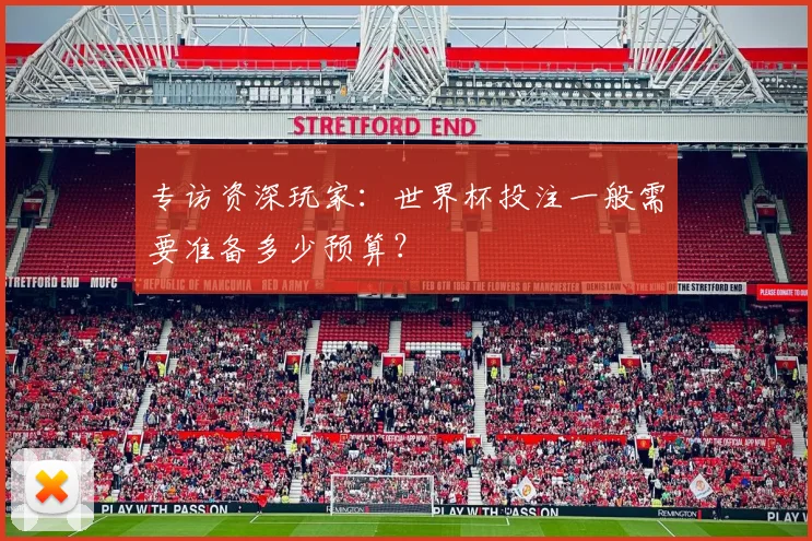 专访资深玩家：世界杯投注一般需要准备多少预算？
