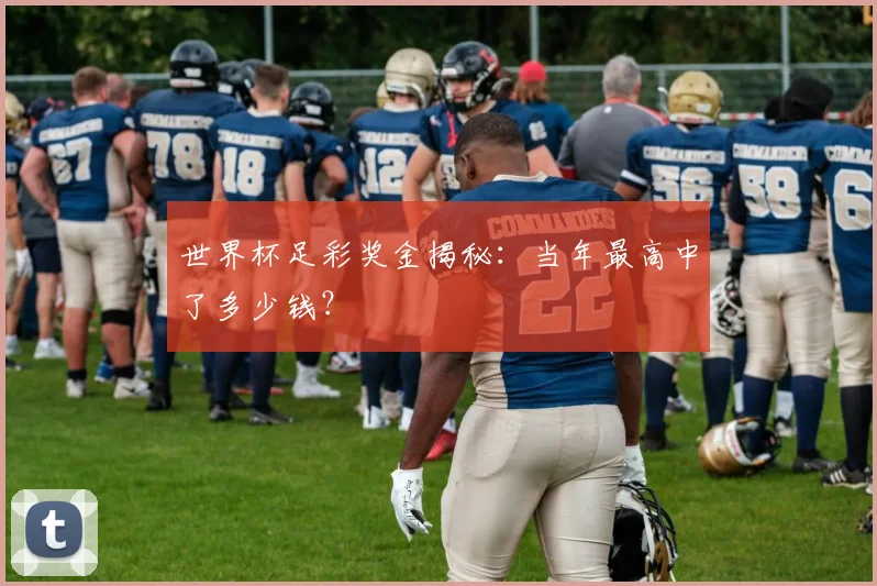 世界杯足彩奖金揭秘：当年最高中了多少钱？